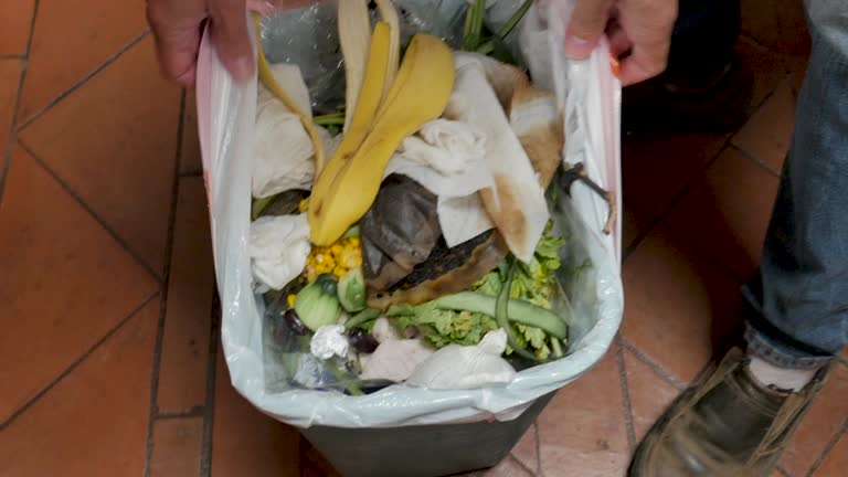 Best Property Management Cleanouts  in Schoolcraft, MI